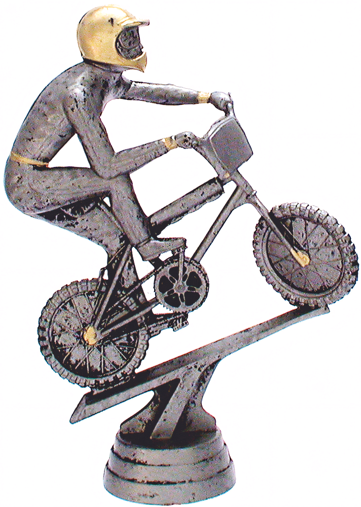 34366 (12.3 cm)