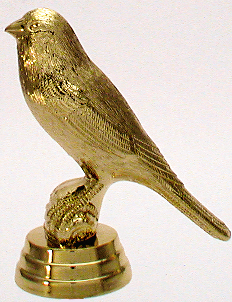 34264 (8.2 cm)