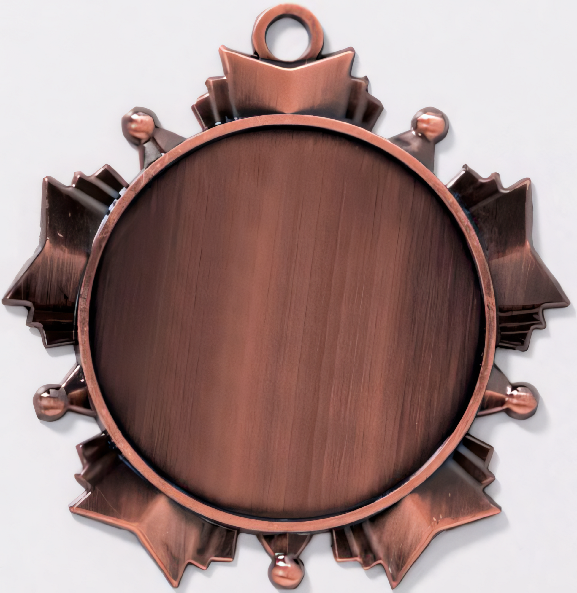 Medaille Bruno Ø70 mm Bronze