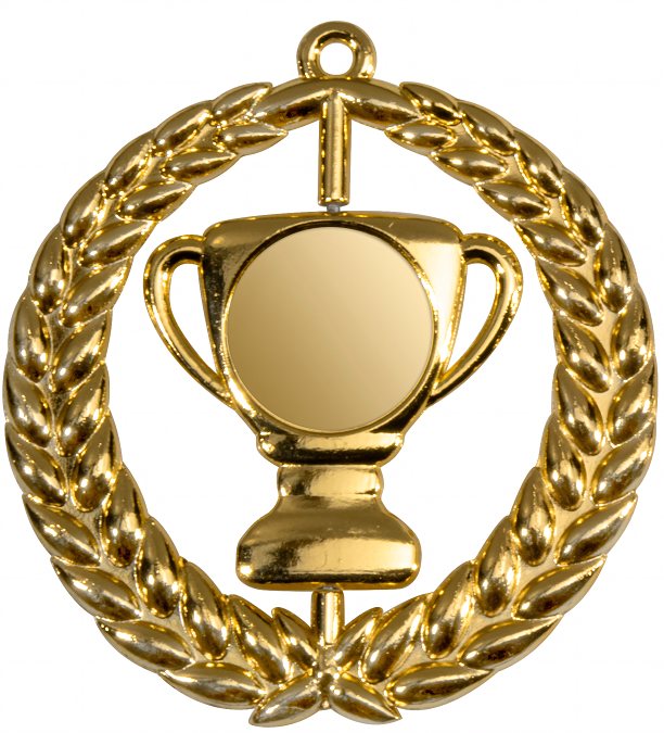 Medaille Vincent Ø85 mm Bronze-Gold-Silber