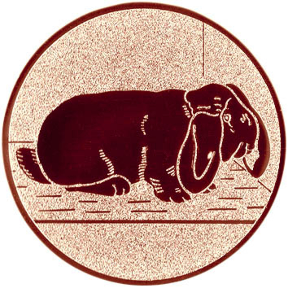 60491