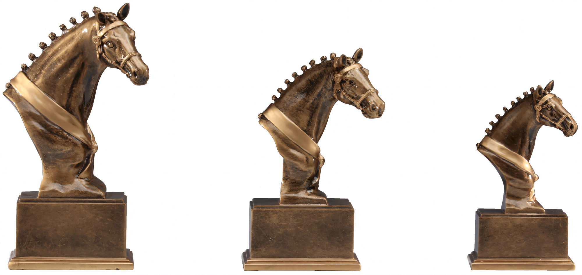 Trophäe Nikolas Gold