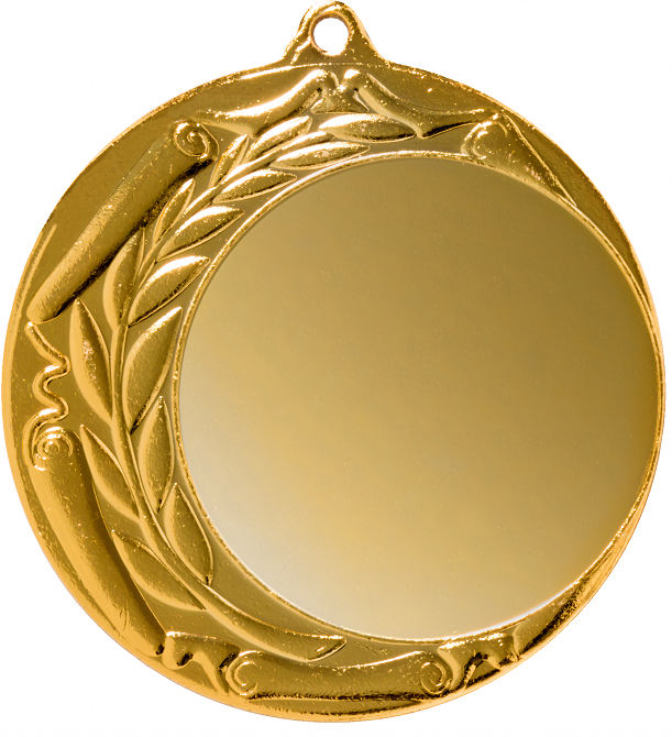 Medaille Arminius Ø70 mm Bronze-Gold-Silber