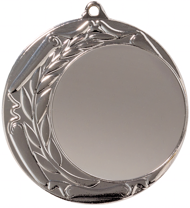 Medaille Arminius Ø70 mm Silber