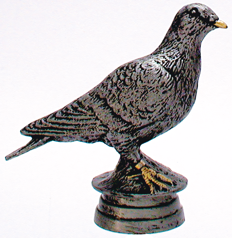 34564 (8.8 cm)