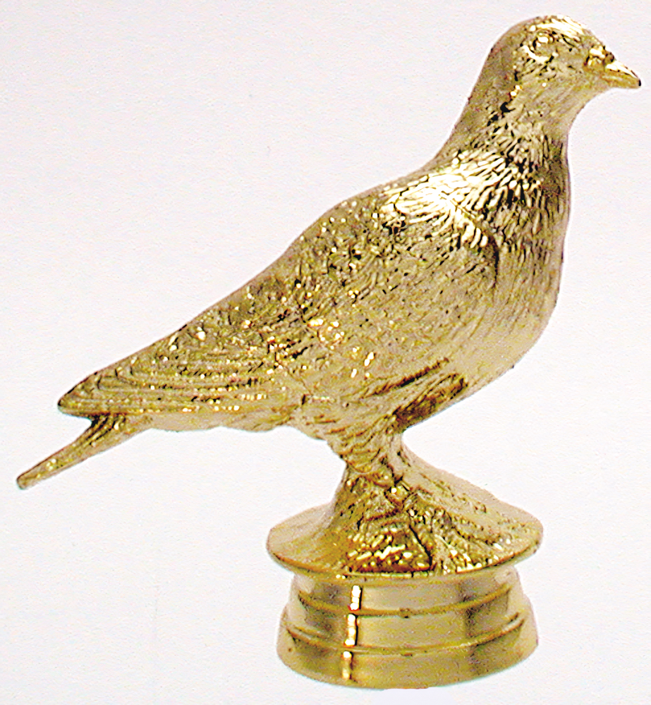 34560 (8.8 cm)