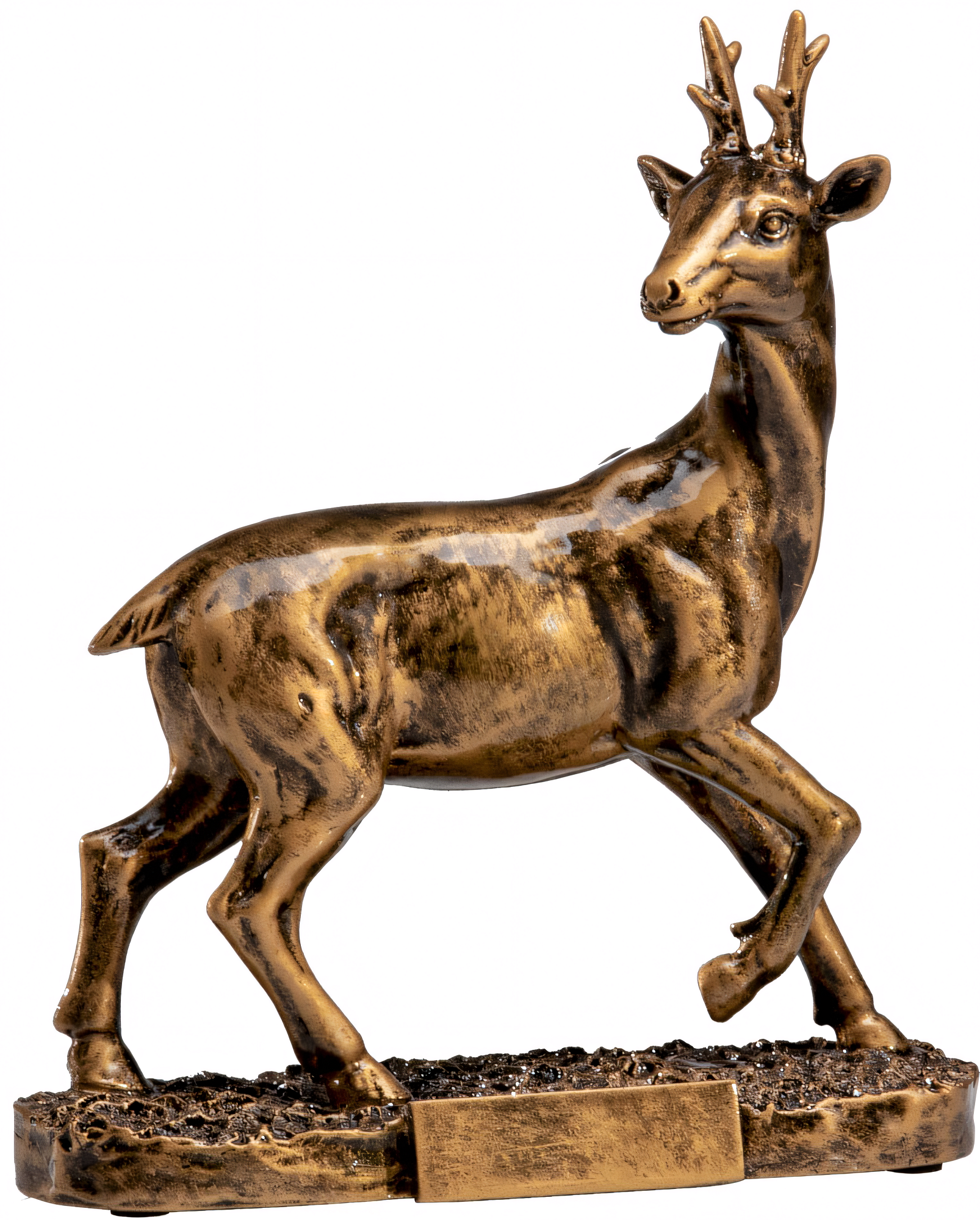 Trophäe Raphaela Bronze